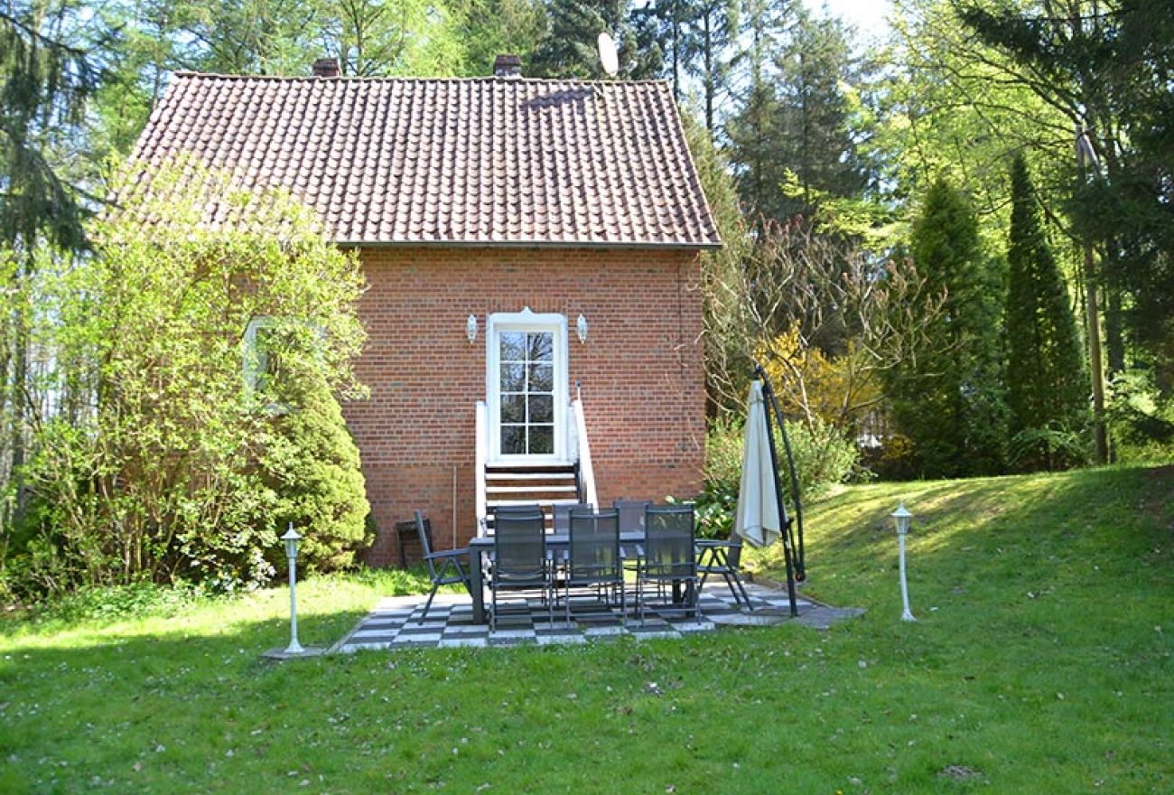 Außenaufnahme von kleinem Haus im Wald