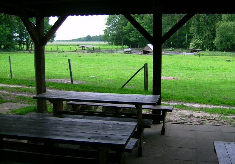 Überdachte Terrasse mit Sitzgelegenheit