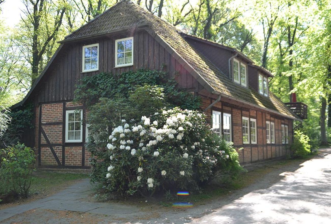 Altes Backstein-Fachwerkhaus mit weiß blühendem Rhododendron davor