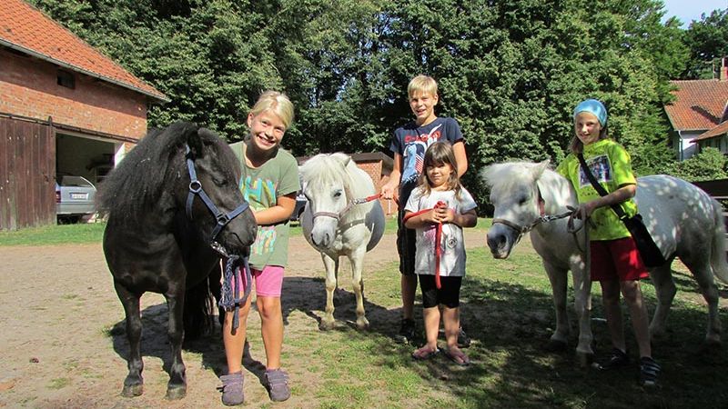 Kinder mit Shetlandponies
